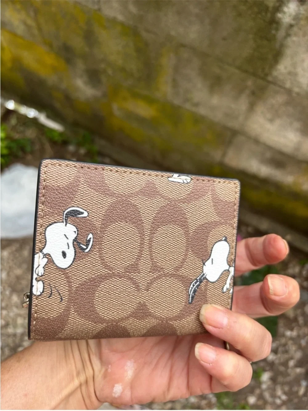 Coach Brown Signature Snoopy Compact Wallet